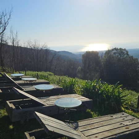 Domaine Colonna-Santini, Gite Piscine, Sauna, Spa Porri Dış mekan fotoğraf