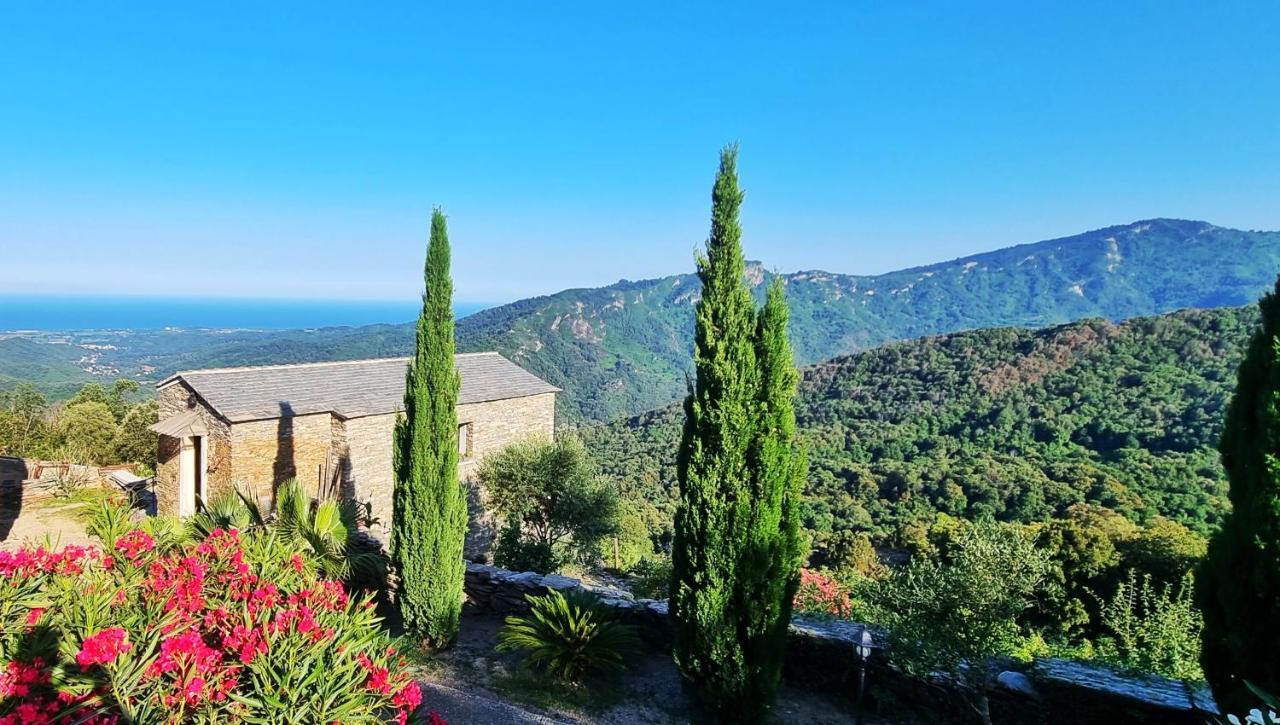 Domaine Colonna-Santini, Gite Piscine, Sauna, Spa Porri Dış mekan fotoğraf