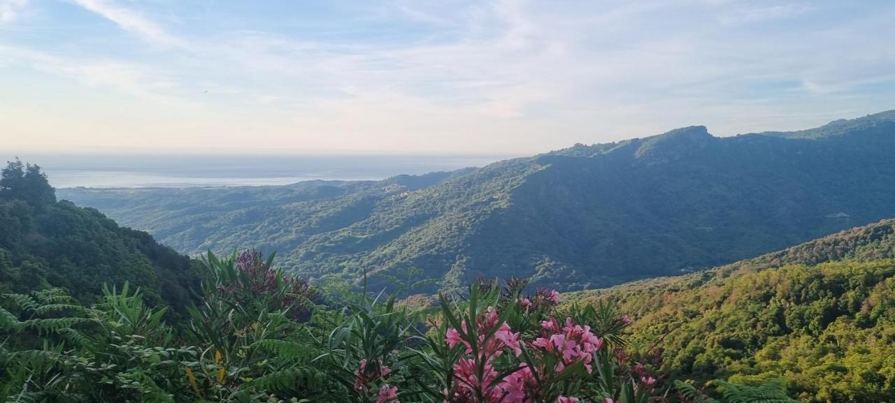 Domaine Colonna-Santini, Gite Piscine, Sauna, Spa Porri Dış mekan fotoğraf