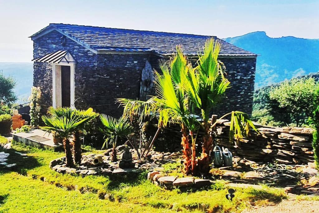 Domaine Colonna-Santini, Gite Piscine, Sauna, Spa Porri Dış mekan fotoğraf