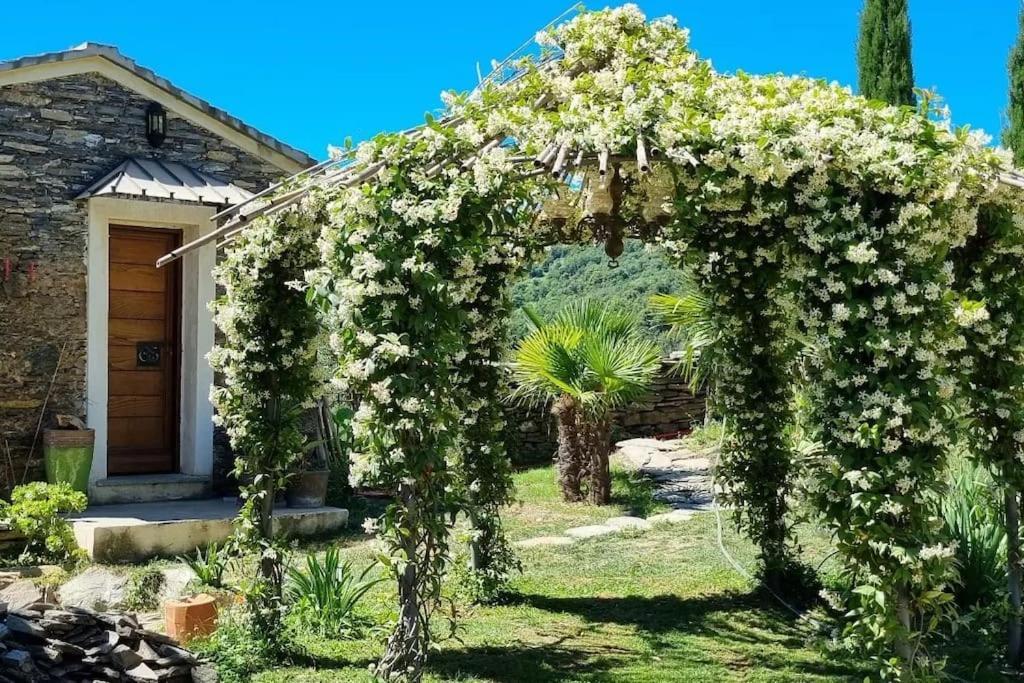 Domaine Colonna-Santini, Gite Piscine, Sauna, Spa Porri Dış mekan fotoğraf