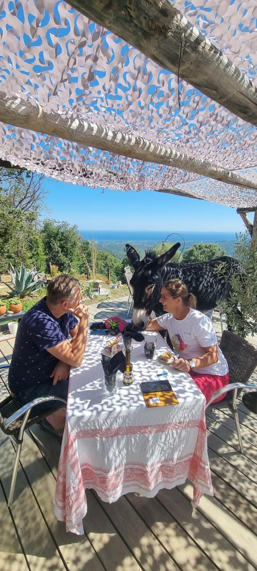 Domaine Colonna-Santini, Gite Piscine, Sauna, Spa Porri Dış mekan fotoğraf