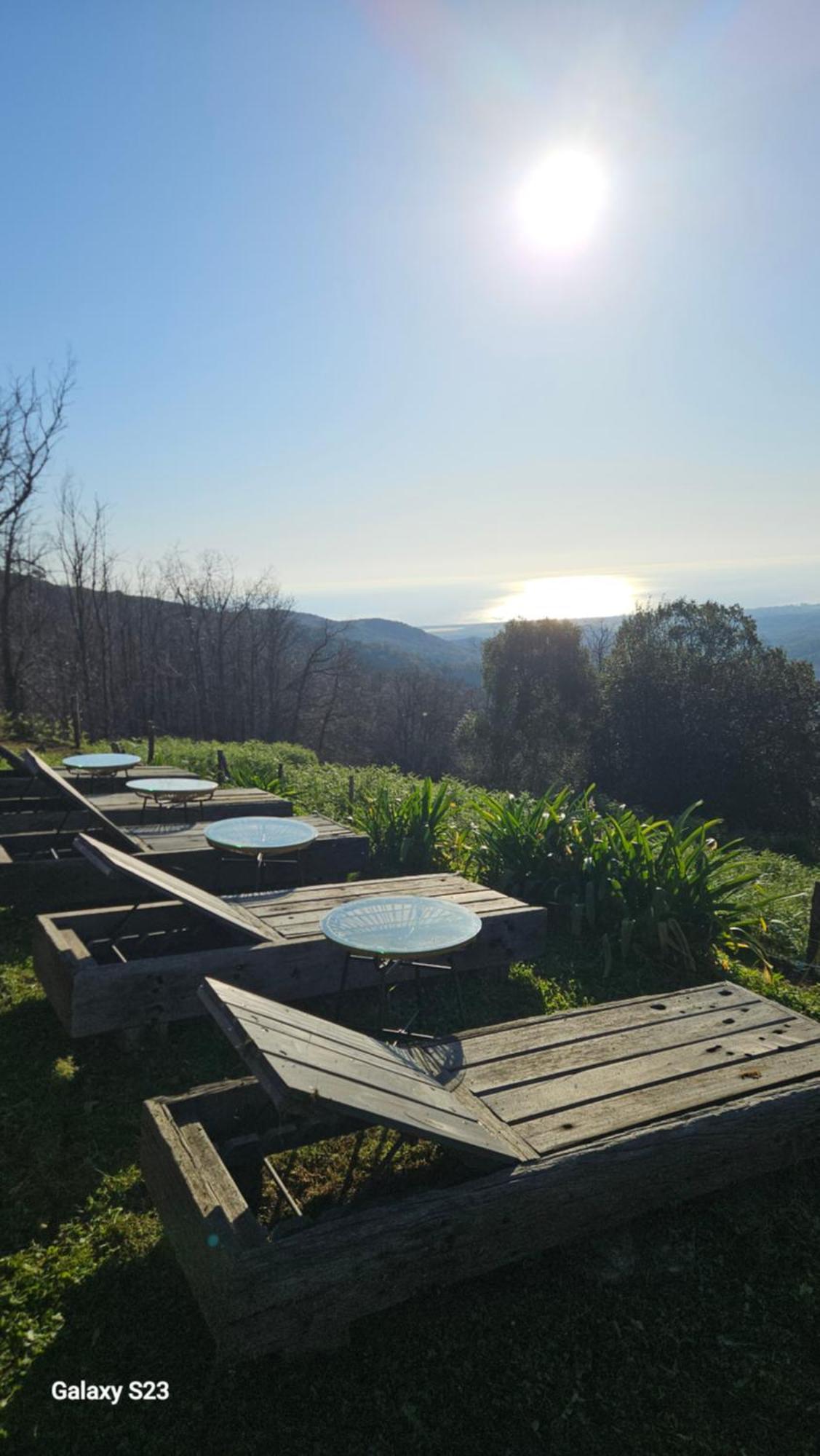 Domaine Colonna-Santini, Gite Piscine, Sauna, Spa Porri Dış mekan fotoğraf