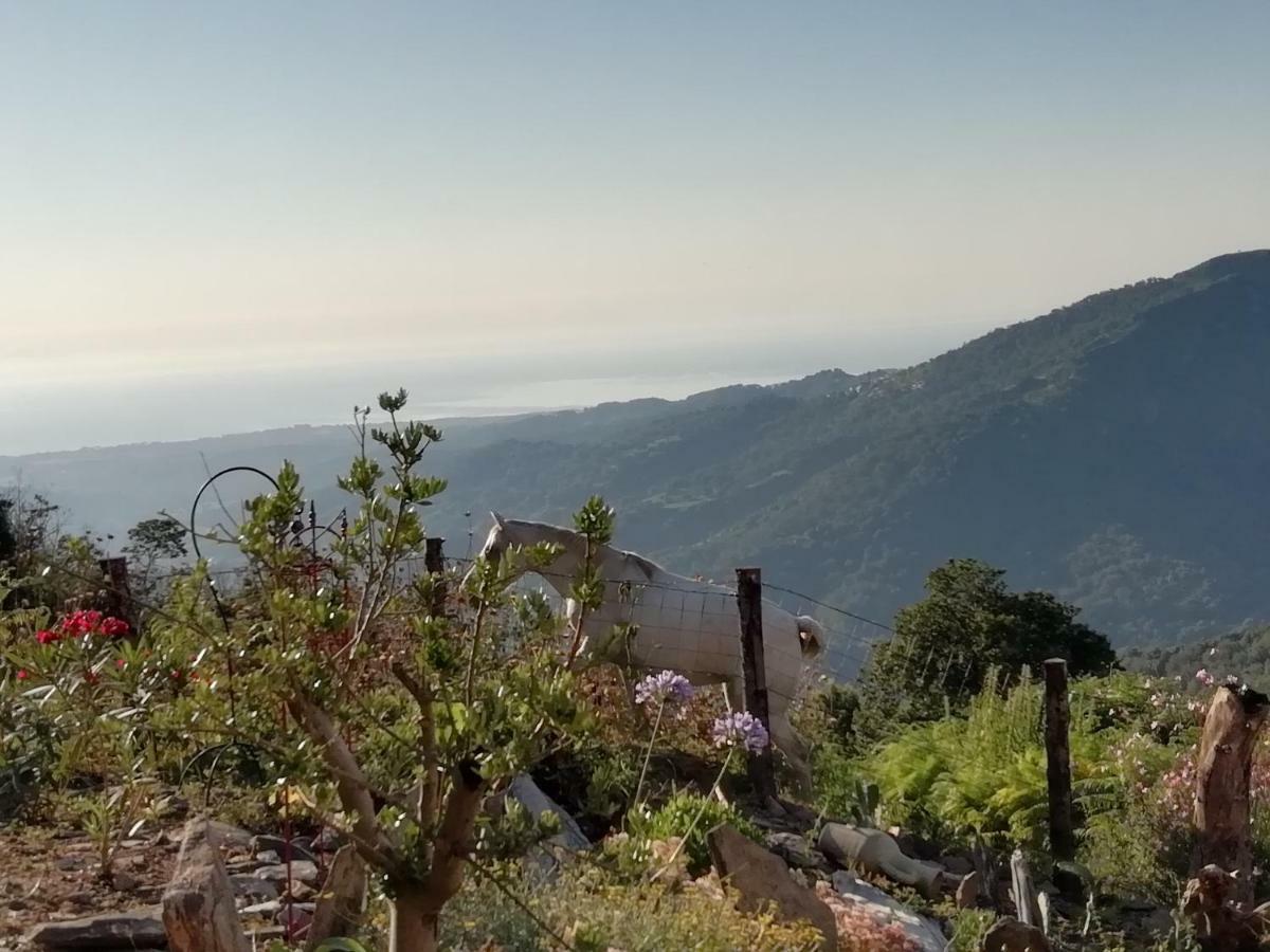 Domaine Colonna-Santini, Gite Piscine, Sauna, Spa Porri Dış mekan fotoğraf